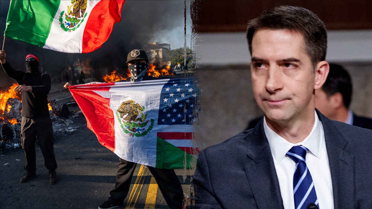 Tom Cotton pushes new crackdown on pro-immigration rioters in Los Angeles, citing ICE assaults