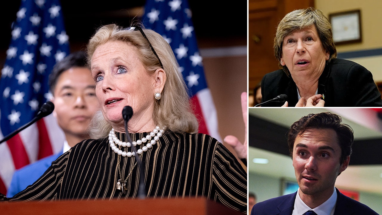Democrats lament ‘party drama’ and lack of unity as frustrations with DNC grow