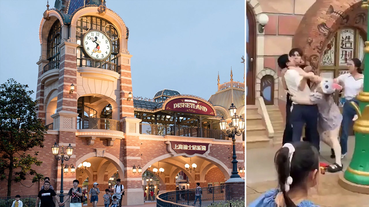 Disneyland China visitors caught on camera brawling over apparent line-cutting dispute