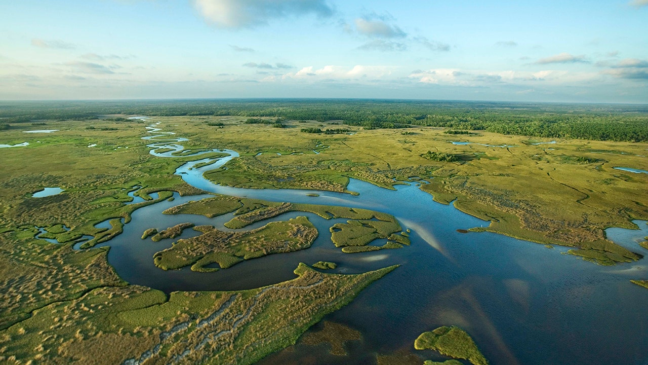 Florida building ‘Alligator Alcatraz’ where ICE detainees face nature’s own security system