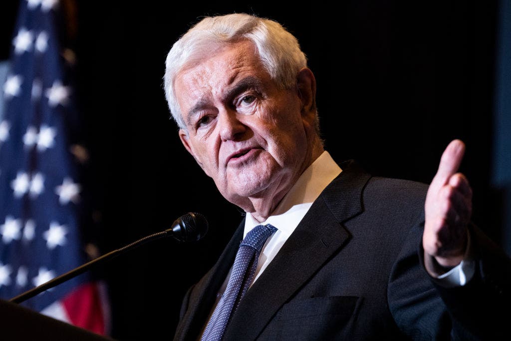 Gingrich warns 'very profound cultural civil war' underway, says Democrats doubling down on 'weird values'