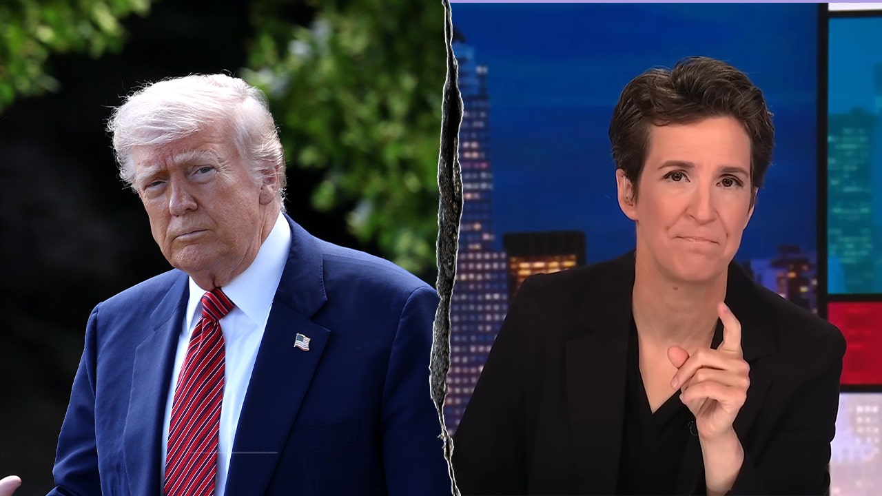 Rachel Maddow declares victory against Trump over immigration protests, says 'game over, you lose'