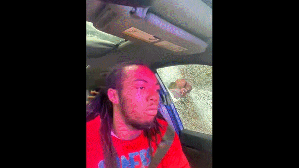 William McNeil Jr. arrest viral video