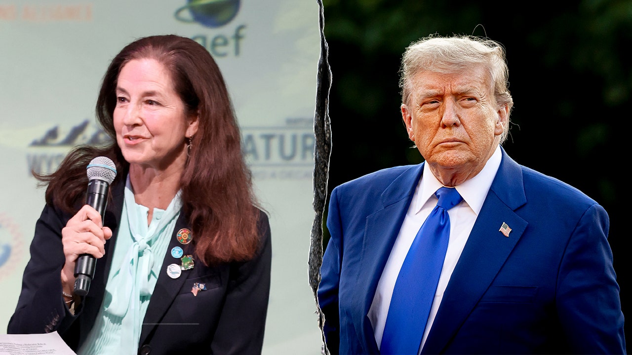 Ex-Biden State Department official scolds Trump on climate change after floods