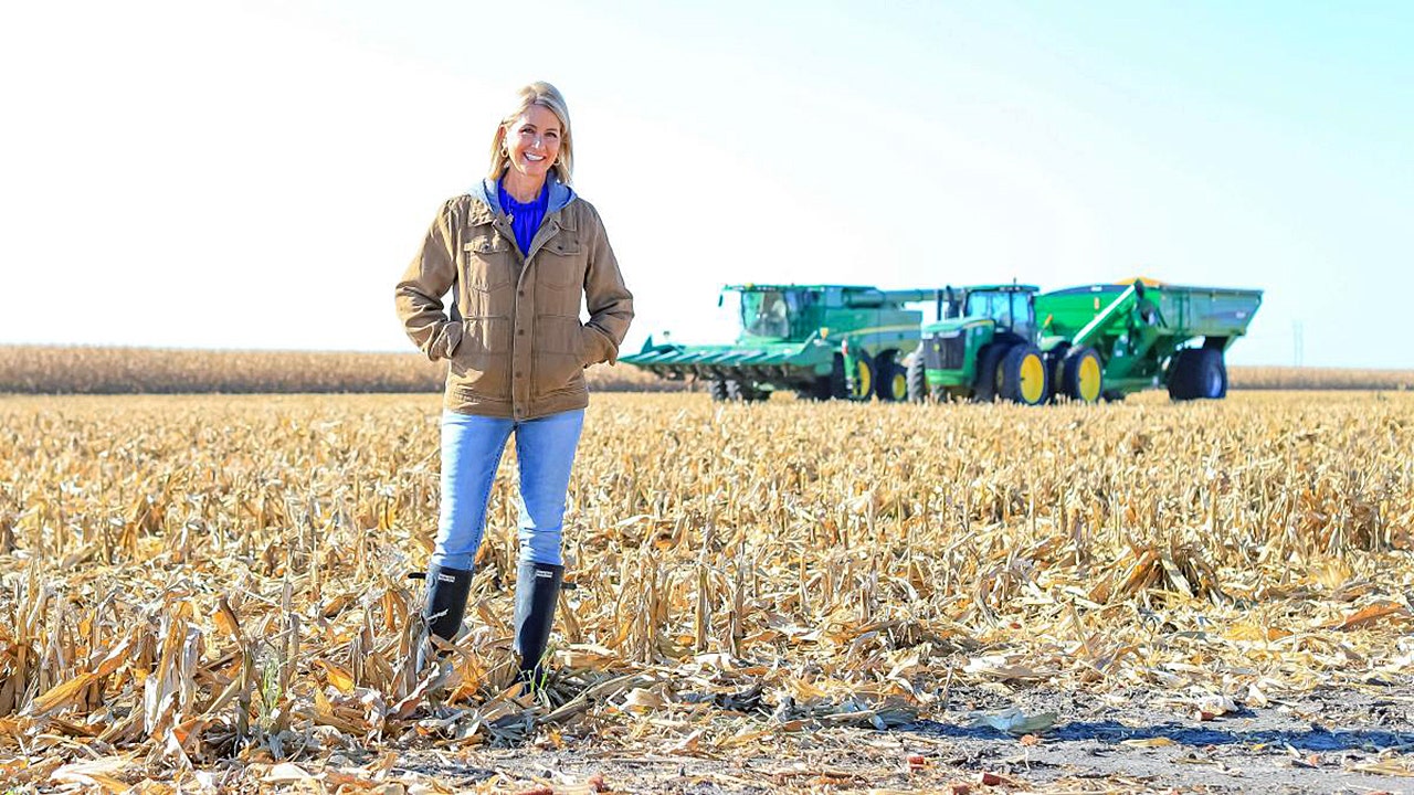 House Republican introduces companion bill to end China's buying of American farmland