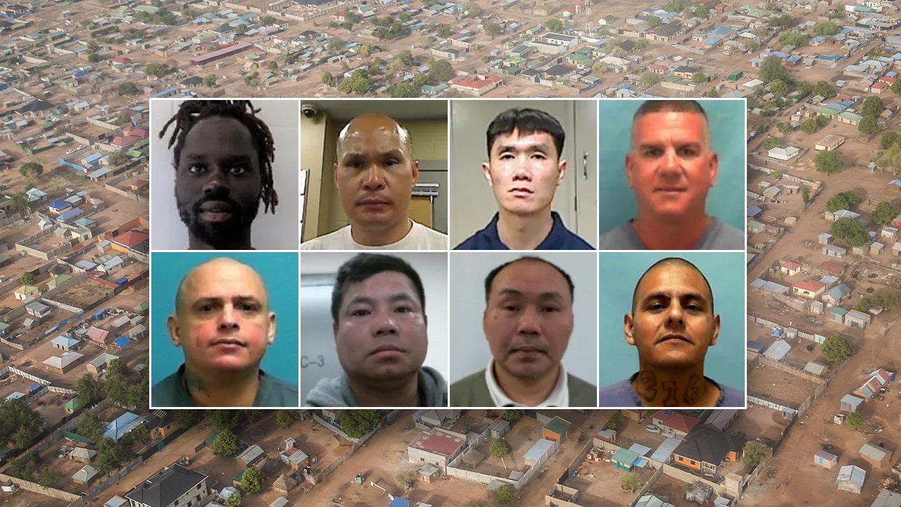 DHS: Several criminal illegal aliens deported to South Sudan after delays from 'activist judges'