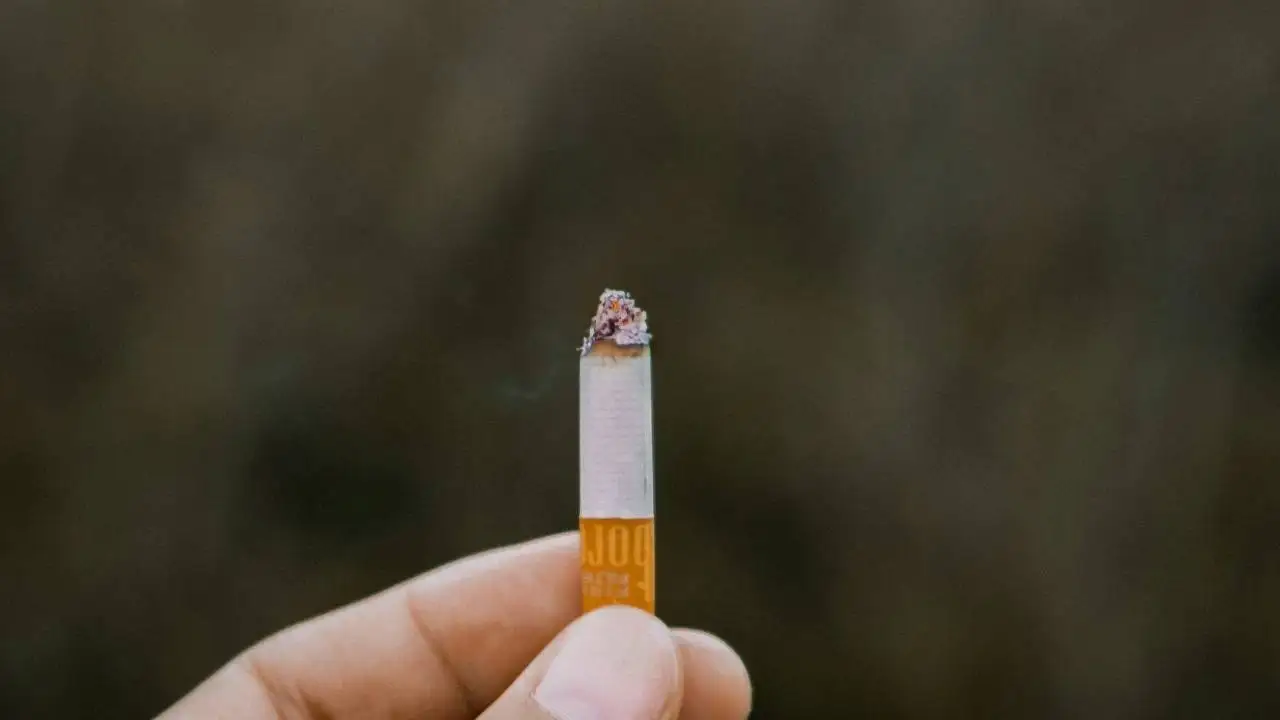Cigarette butts make roads stronger than ever before