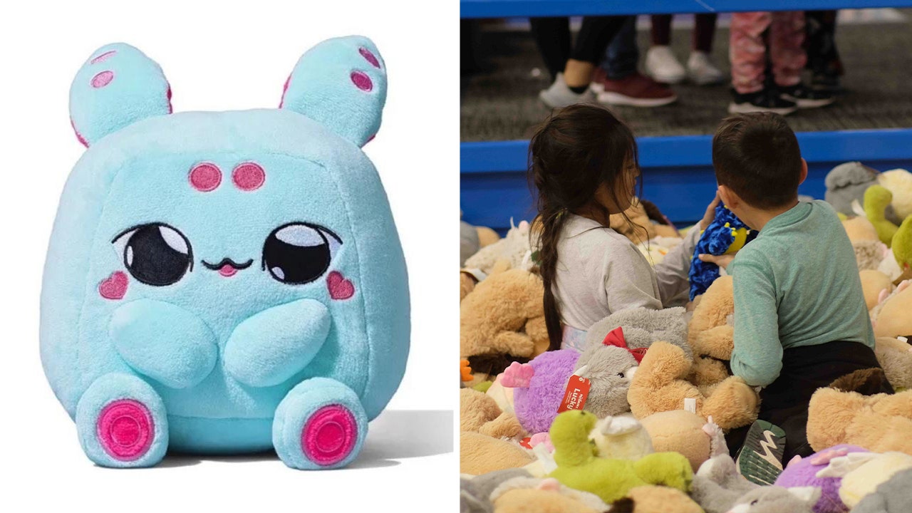 Experts warn AI stuffed animals could ‘fundamentally change’ human brain wiring in kids