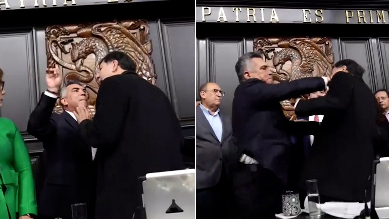 Mexican lawmakers violently shove each other during heated Senate session