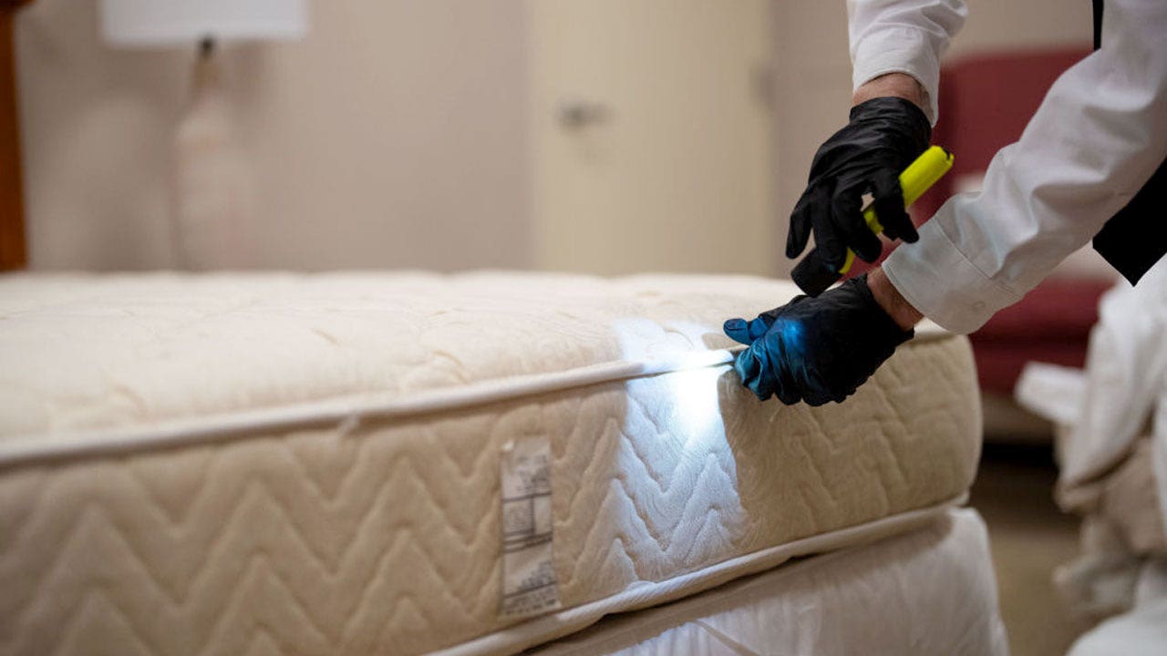 Major Midwest city tops bedbug infestation list for fifth consecutive year