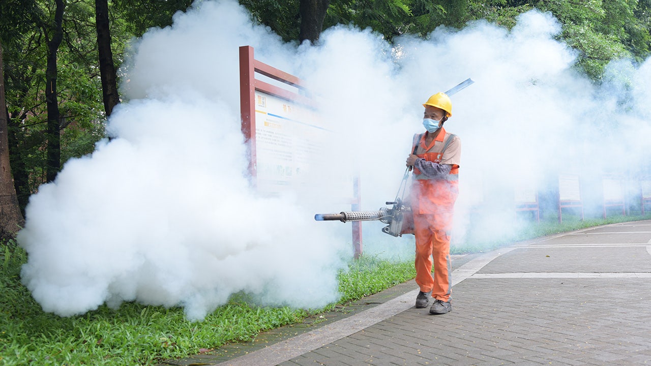 CDC issues China travel warning over chikungunya virus outbreak