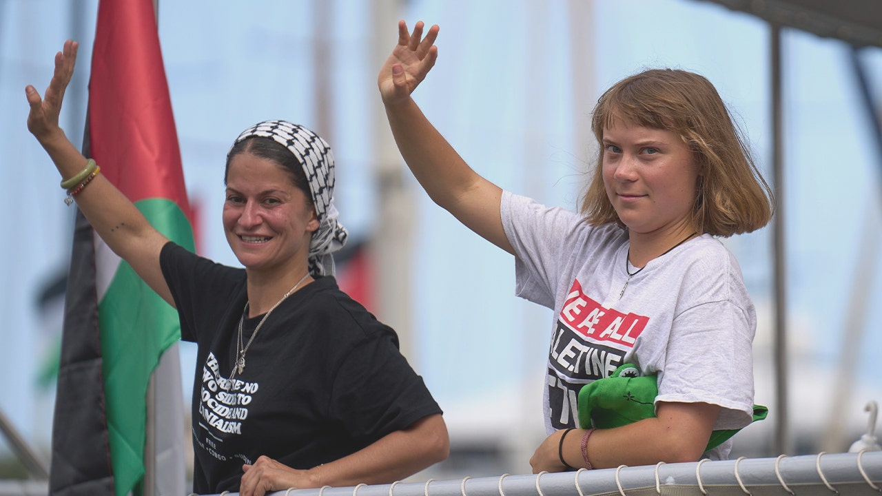 Greta Thunberg flotilla won’t be unloading anything on Gaza’s beaches, warns expert