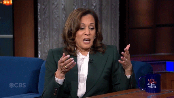 Kamala Harris scolds ‘piling on’ against Joe Biden when asked about separating herself during 2024 campaign