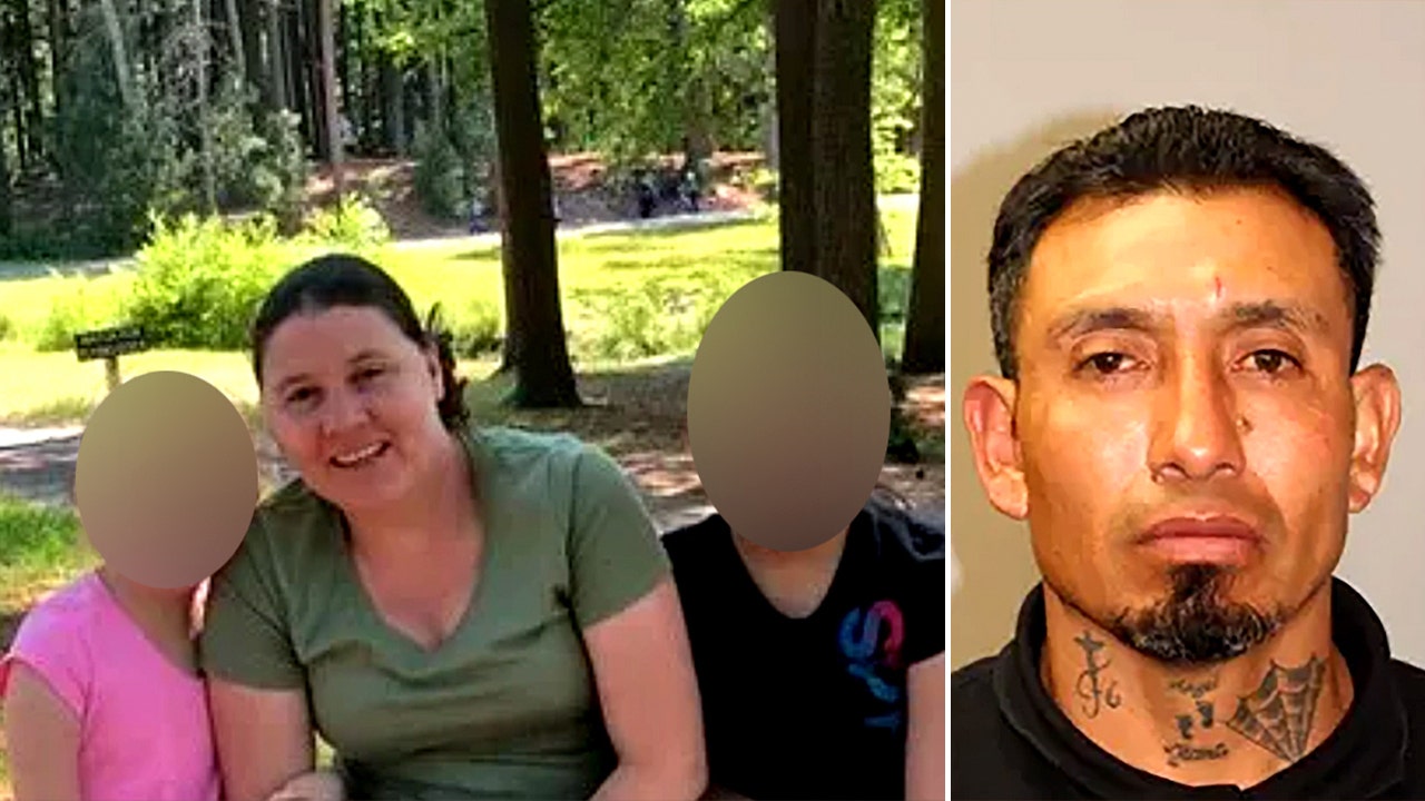 Illegal migrant with DUI rap sheet facing vehicular homicide charges after head-on crash kills mom, daughter
