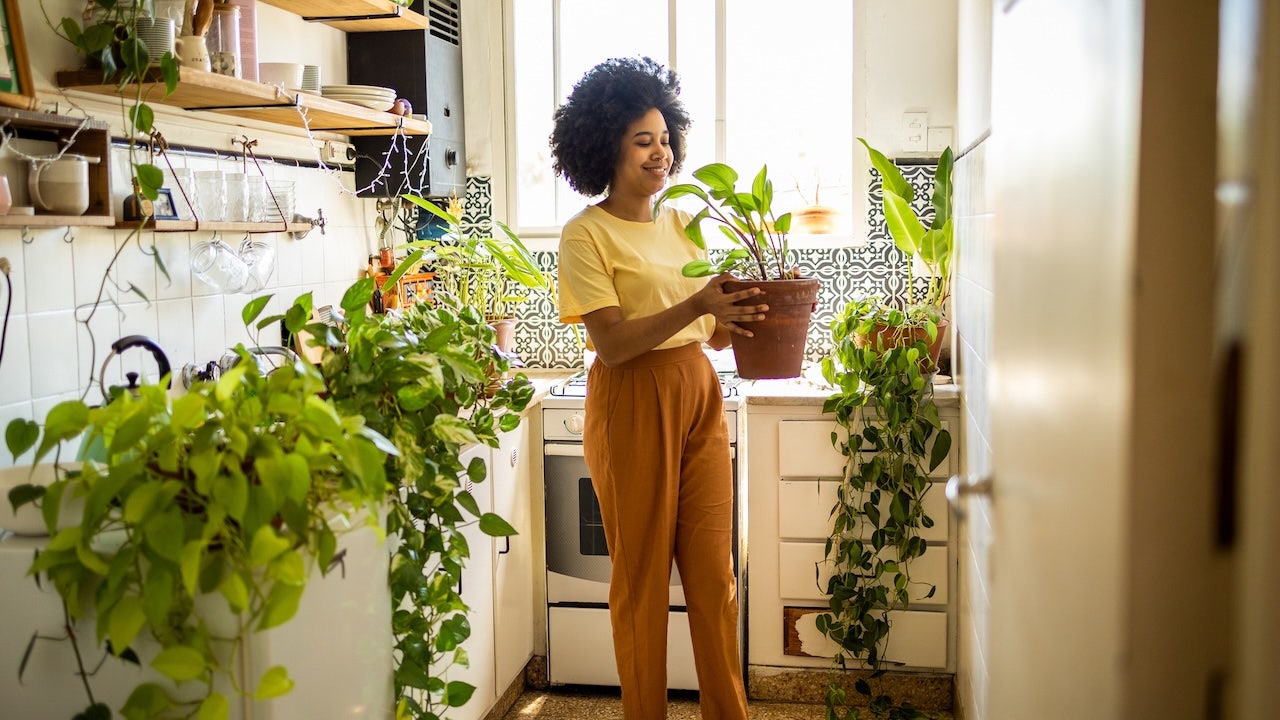 Indoor garden systems that are worth the hype