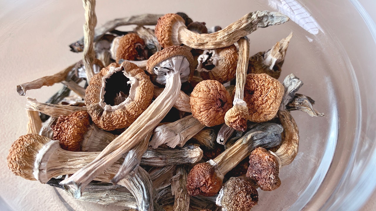 A woman with advanced Alzheimer's reportedly showed significant brain function improvements after taking psilocybin mushrooms, per a case report. (iStock)