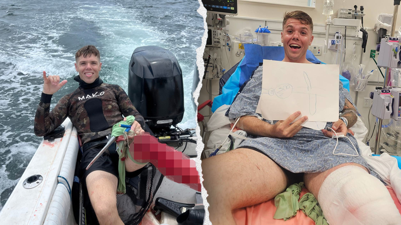 ‘Sharks won’t do anything to you’: Florida spearfisherman attacked by shark minutes after reassuring family
