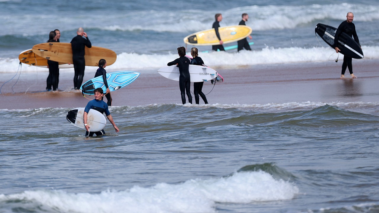 ‘Large shark’ kills man at Australian beach, with witness describing hearing screams of ‘don’t bite me!’