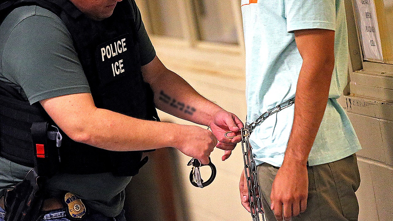 DHS officials deny ICE agents used autistic girl as bait in arrest