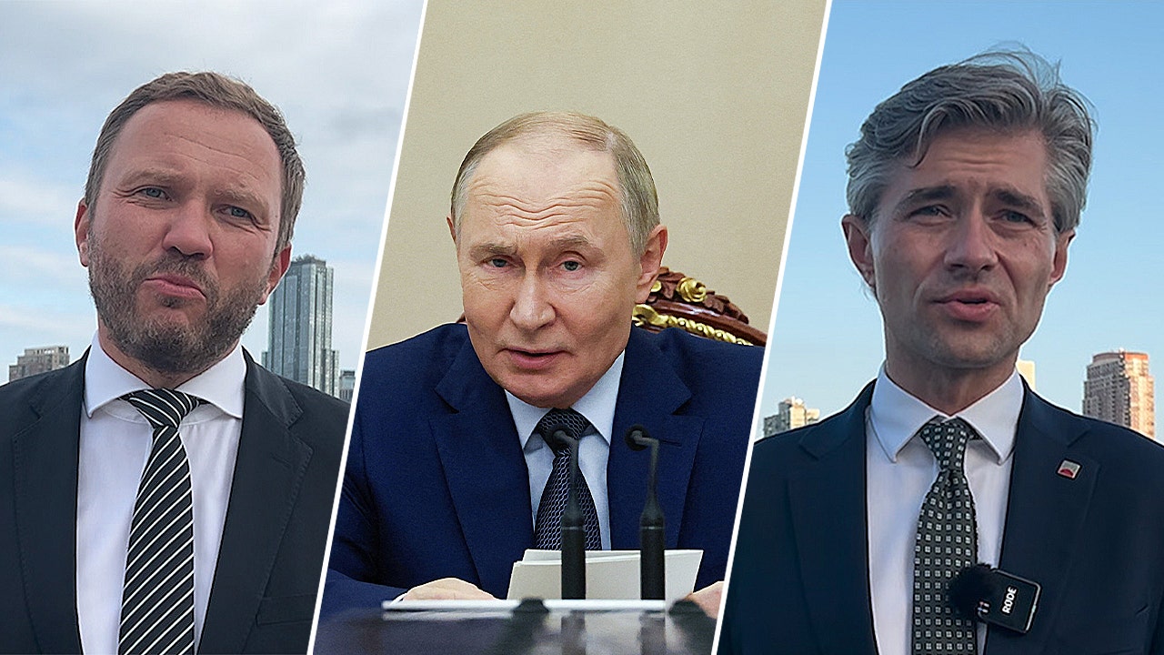 UN Security Council powerless due to Russia veto, Baltic ministers say