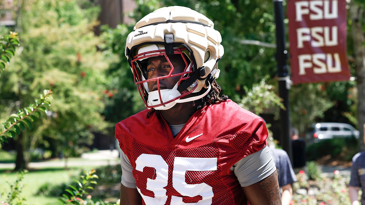 College football news: Florida State honors Ethan Pritchard during game
