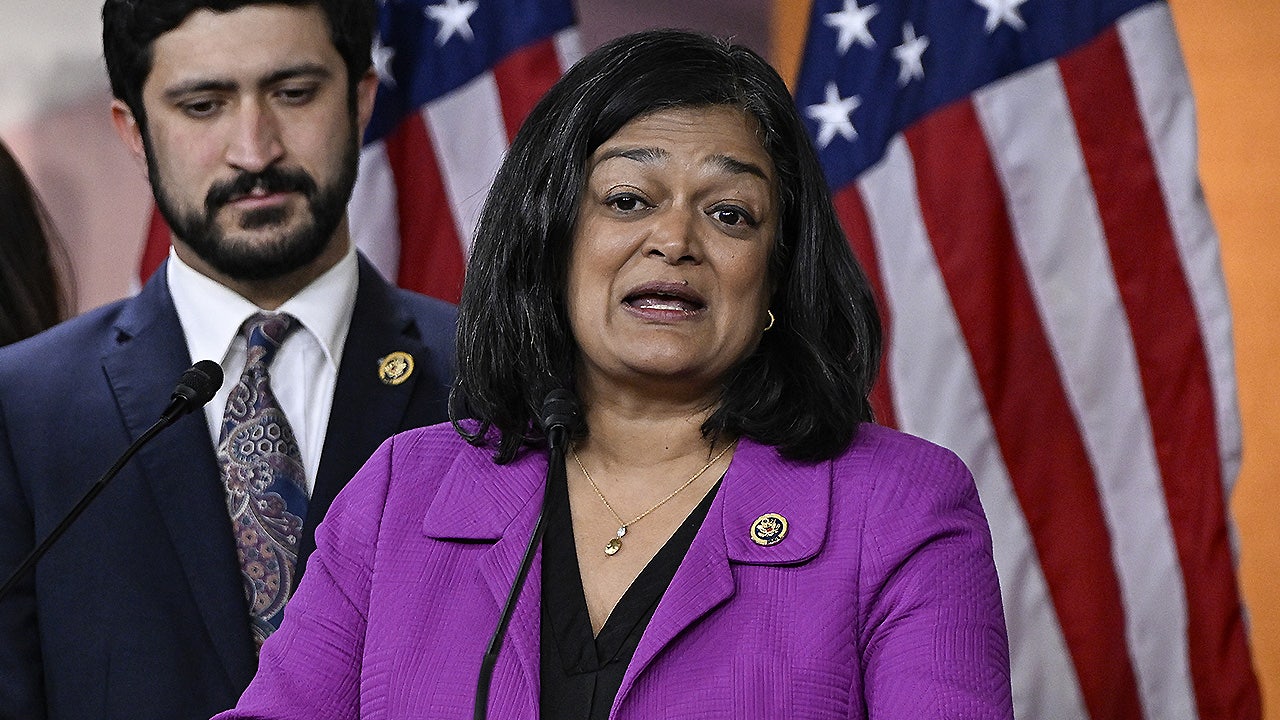 Dem congresswoman denies rhetoric incited anti-ICE violence, doubles down on condemning agency