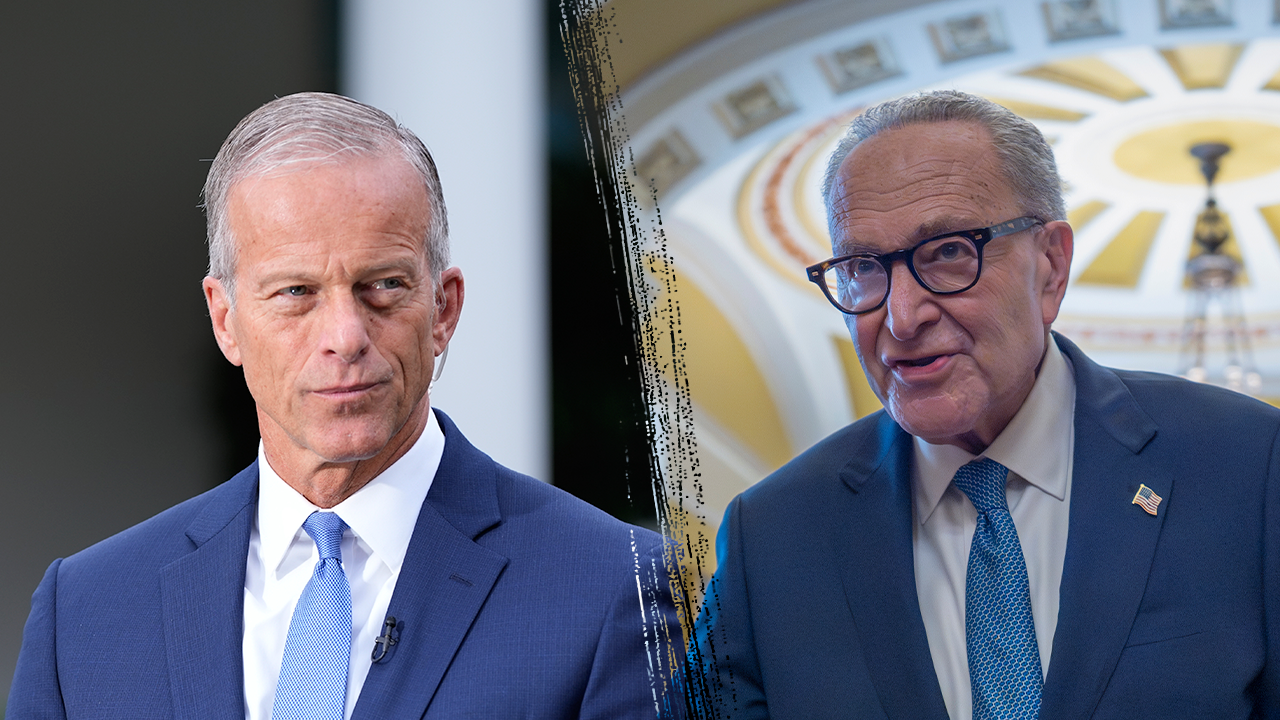 Majority Leader Thune warns Chuck Schumer ‘lives in fear’ of socialists taking over Democratic Party Majority Leader Thune warns Chuck Schumer ‘lives in fear’ of socialists taking over Democratic Party