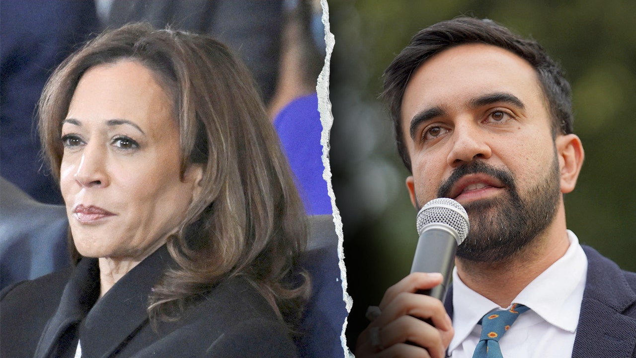 Kamala Harris gives lukewarm NYC mayor endorsement for Mamdani