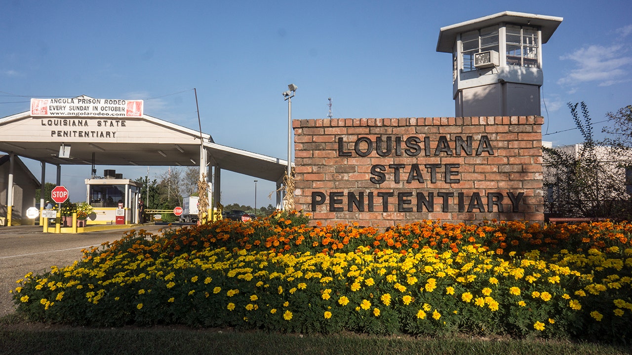 DHS fires returned to Media situations about Louisiana Locloup Ters