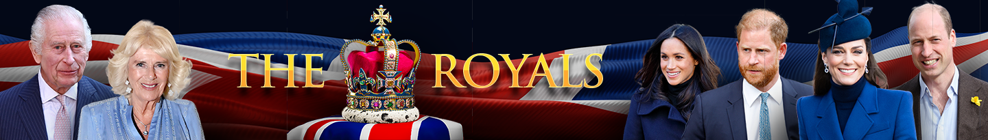 Category logo