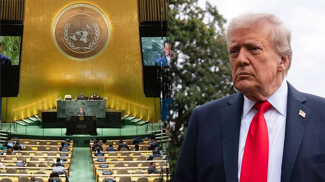 Trump must make UN funding conditional on real reforms, ex-diplomat urges