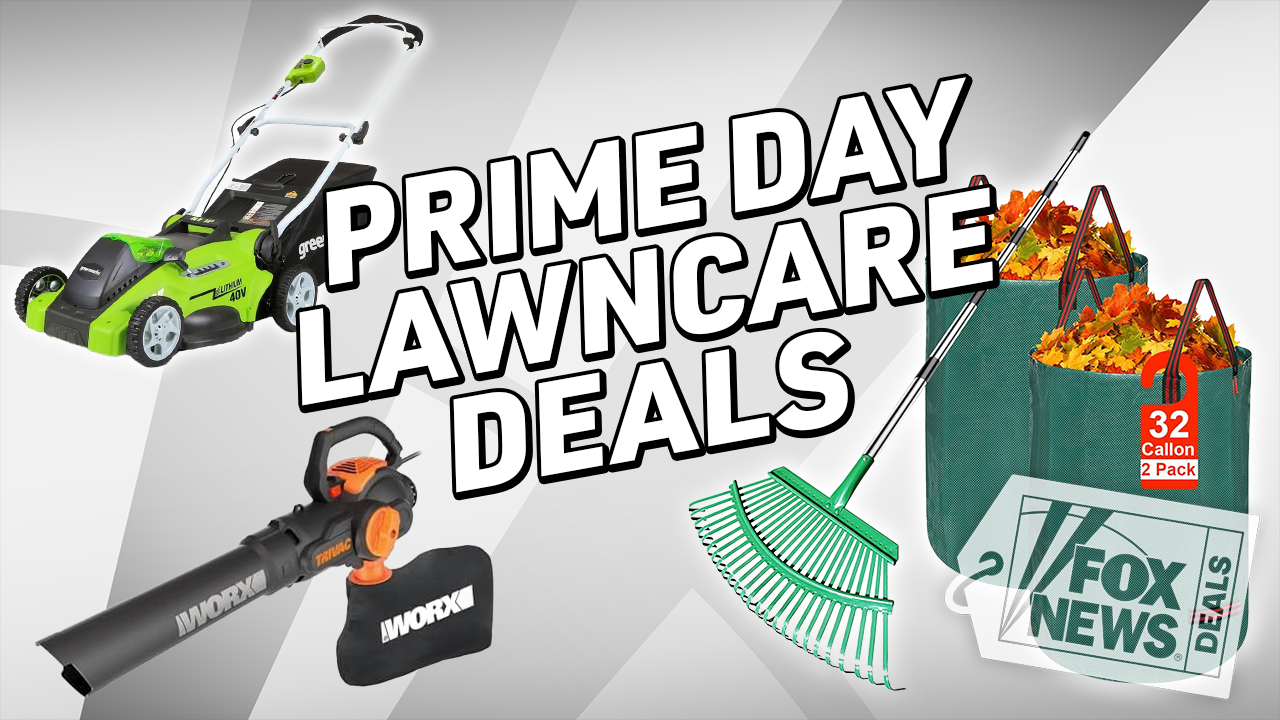 Tackle leaf season with mowers, rakes and more — with October Prime Day deals still available