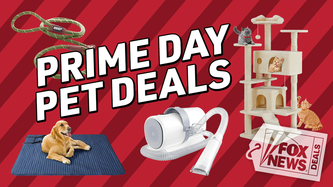 October Prime Day ends tonight: Pet savings of up to 45% on cat and dog gear