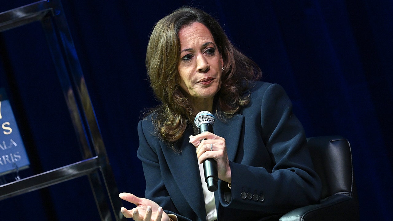 Kamala Harris hints at possible 2028 run, says some call her 'most qualified candidate ever'
