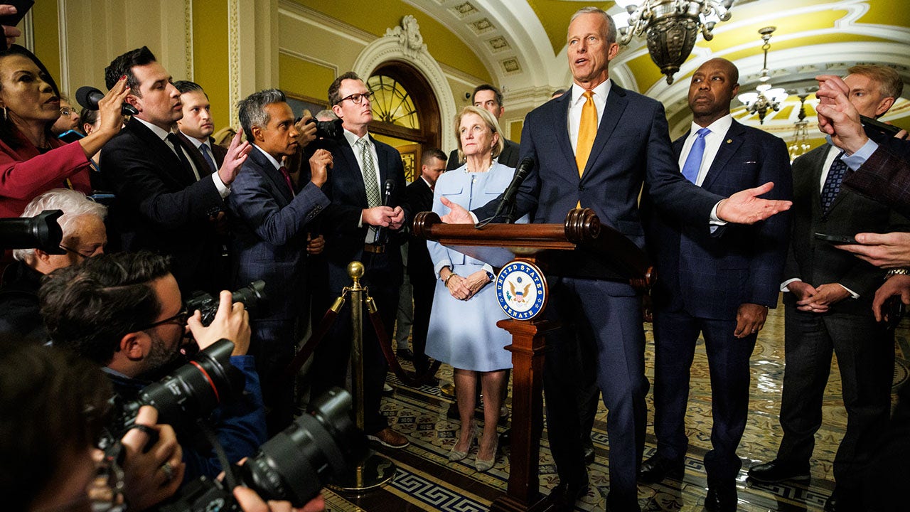 Thune, GOP reject pushing ‘rifle-shot’ government funding bills during shutdown Thune, GOP reject pushing ‘rifle-shot’ government funding bills during shutdown