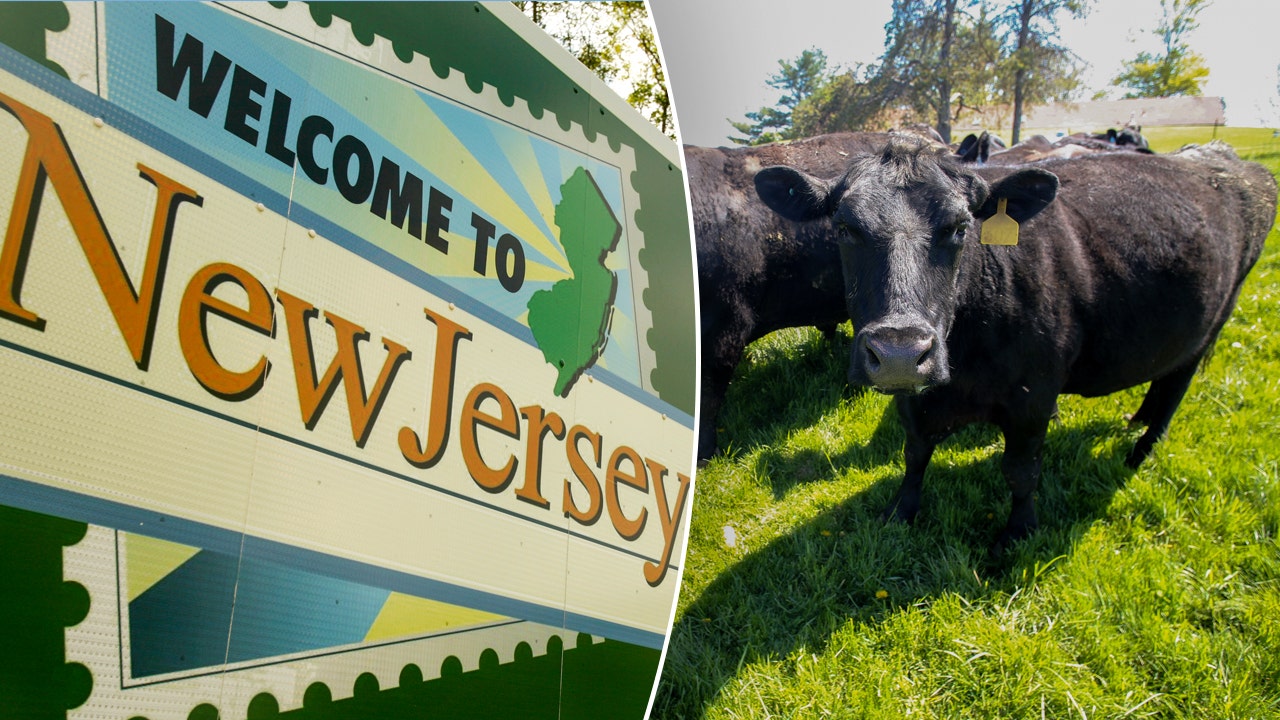New Jersey family wins battle to save 175-year-old farm from eminent domain New Jersey family wins battle to save 175-year-old farm from eminent domain