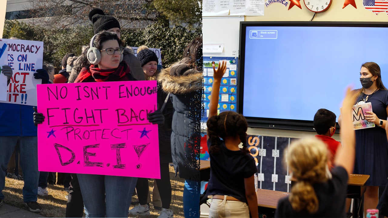 Dozens of parents rights groups call for 50 state audit to rid K-12 schools of DEI: ‘Clean up the mess’