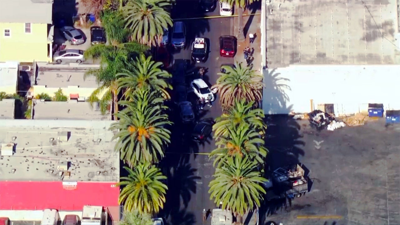 US Marshal, illegal alien shot in Los Angeles immigration operation