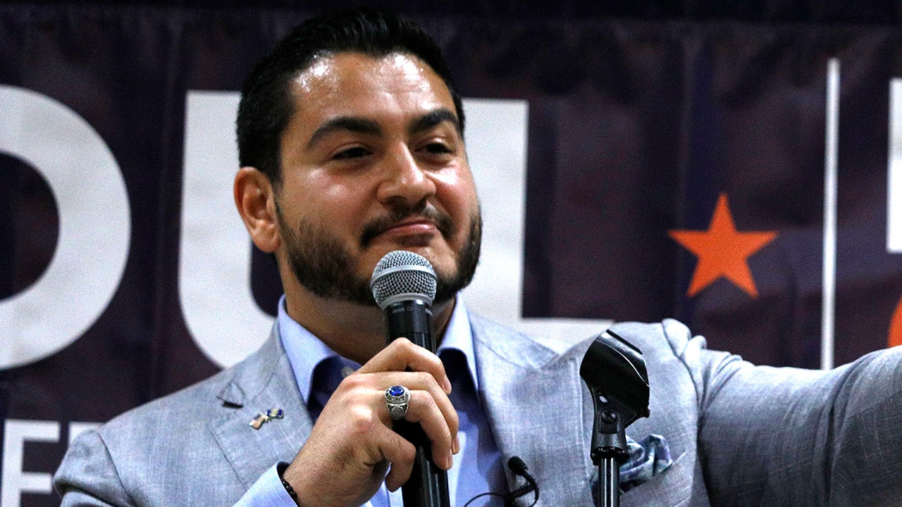 Democratic senate candidate called for mass release of criminals during prison abolition webinar Democratic senate candidate called for mass release of criminals during prison abolition webinar