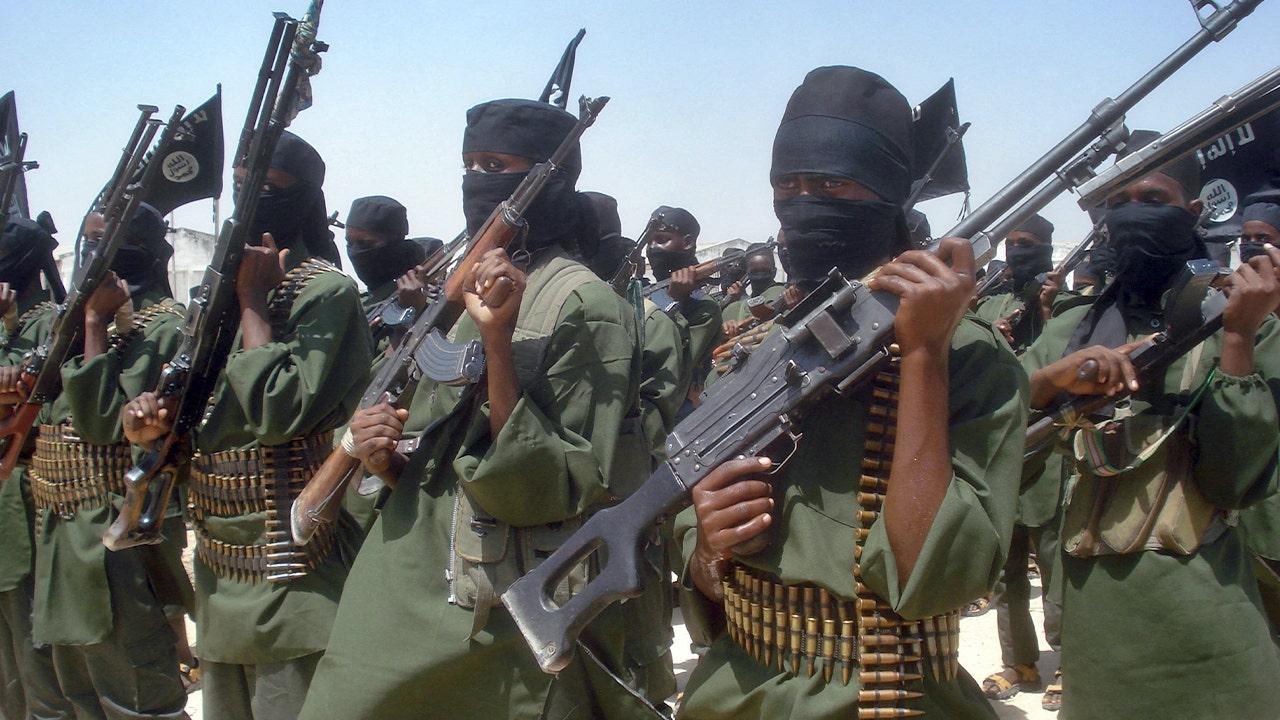 Minnesota taxpayer dollars funneled to Al-Shabaab terror group, report alleges