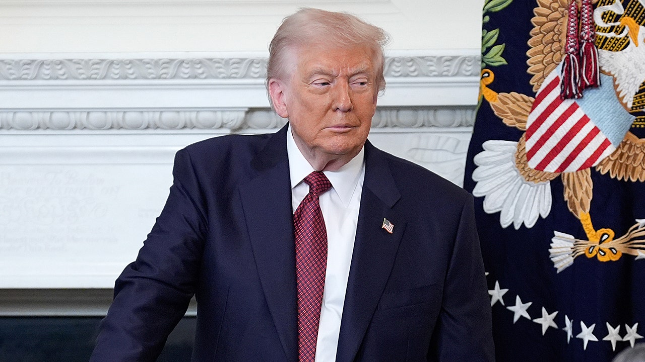 Trump compares Dems to kamikaze pilots: 'They'll take down the country if they have to'