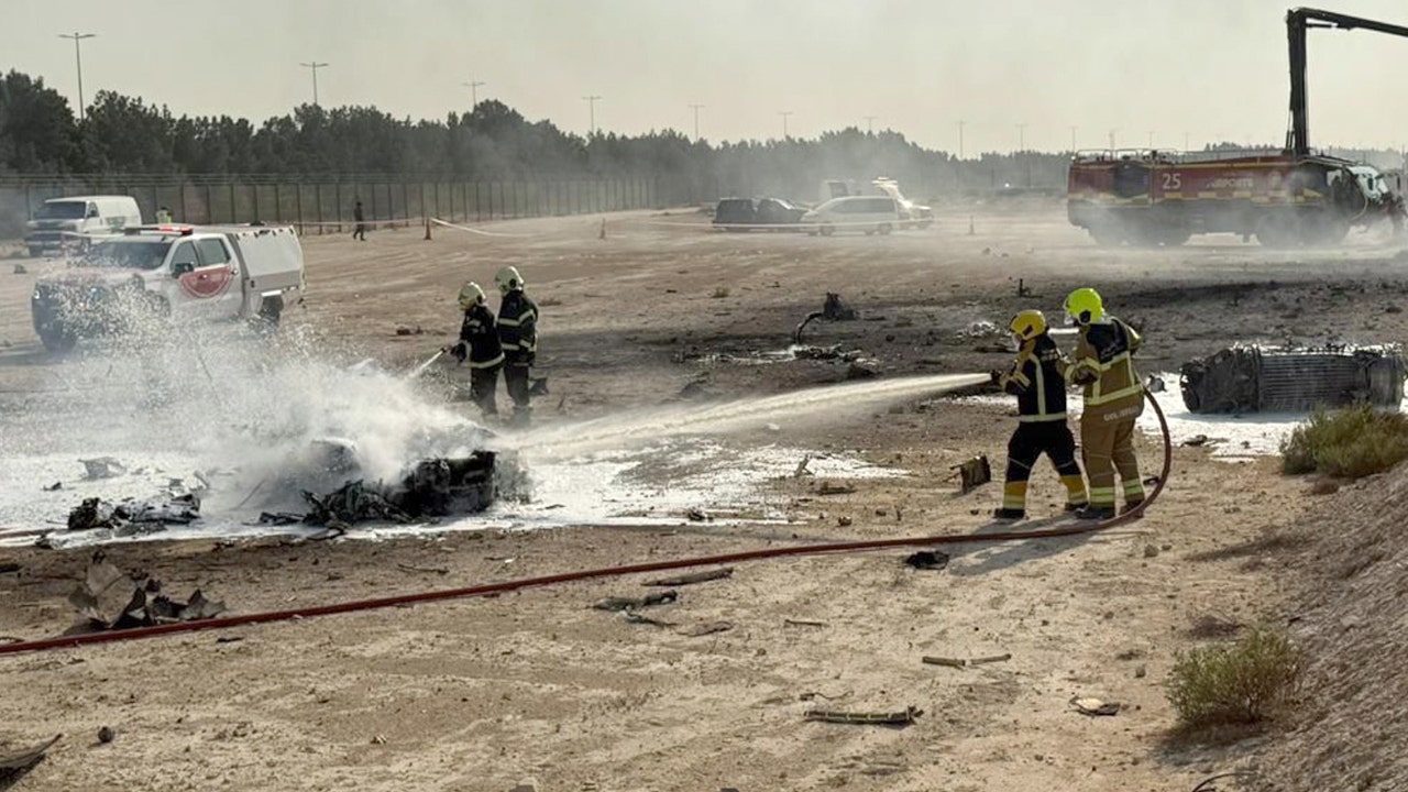 Fighter jet crashes at Dubai Air Show, pilot dead Fighter jet crashes at Dubai Air Show, pilot dead