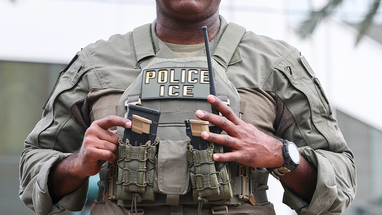 Giving thanks: Republican lawmakers express gratitude for ICE workers in DHS video Giving thanks: Republican lawmakers express gratitude for ICE workers in DHS video