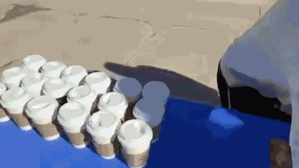 Iowa student flipped Turning Point USA table on campus in viral video that led to arrest: docs