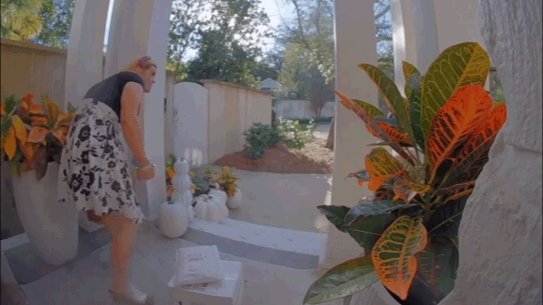 Alleged porch pirate in women's clothing busted after surveillance video goes viral: 'Particular look'