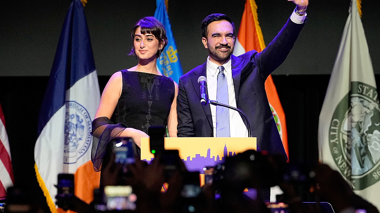 Mamdani’s wife’s ‘student sketchbook’ art is Hunter Biden effect all over again, says US artist