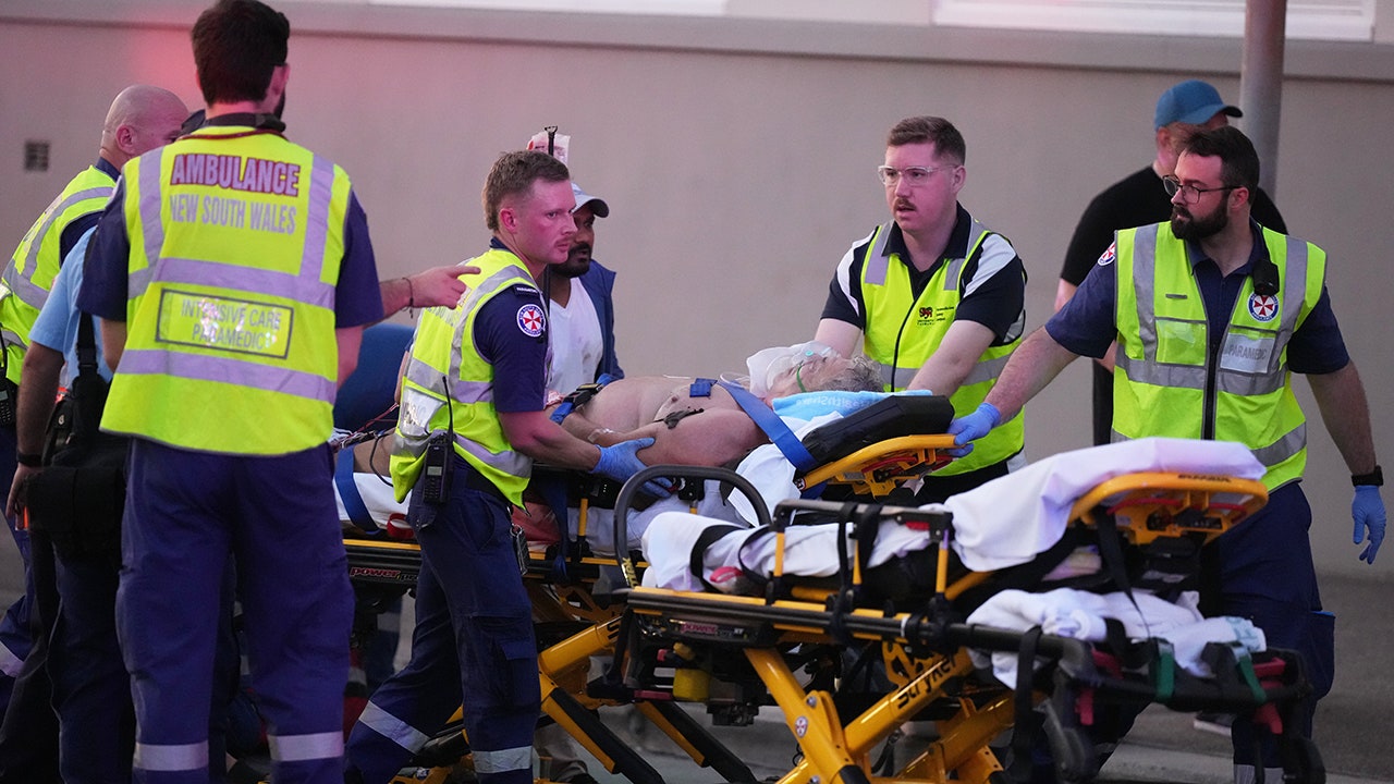 Australian bystander disarms suspected shooter in Australia Hanukkah attack