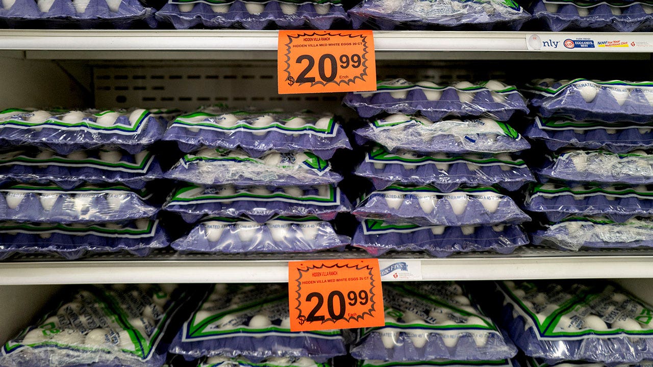 Government waste forces farmers to destroy good eggs as prices soar, senator says