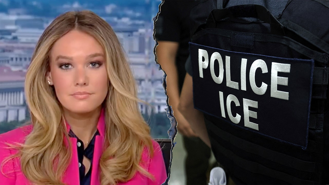 DHS accuses Senate Democrats of twisting data to ‘smear ICE’ DHS accuses Senate Democrats of twisting data to ‘smear ICE’