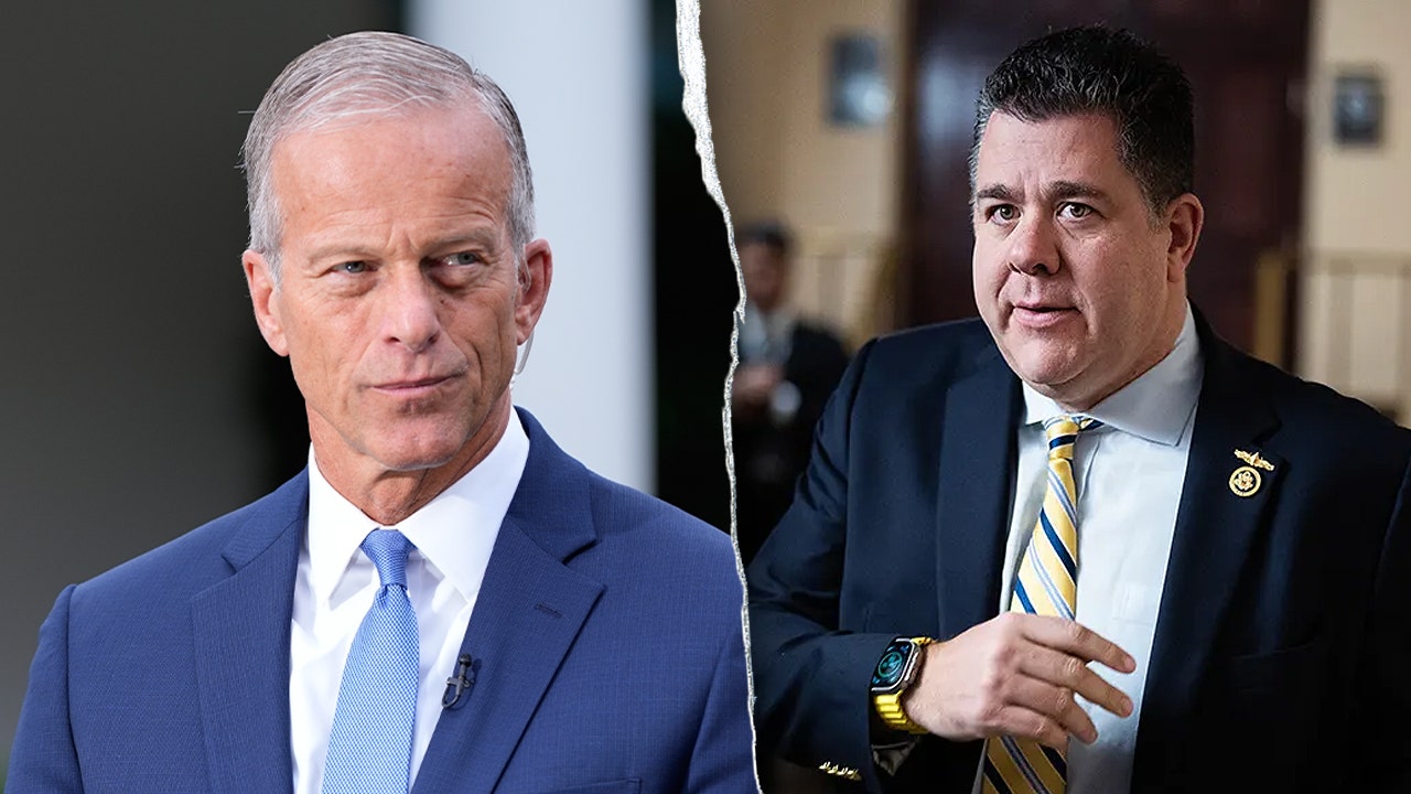 وقال زعيم الأغلبية ثون إن الإجراء المتعلق بالرعاية الصحية في مجلس الشيوخ غير مرجح في عام 2025